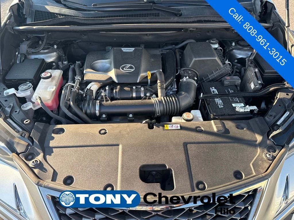 2020 Lexus NX NX 300 F SPORT